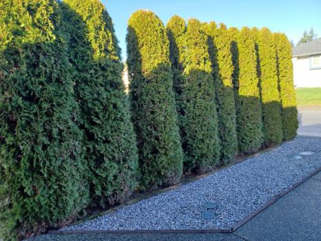 Image for Mark's Yard & Home with ID of: 6477984