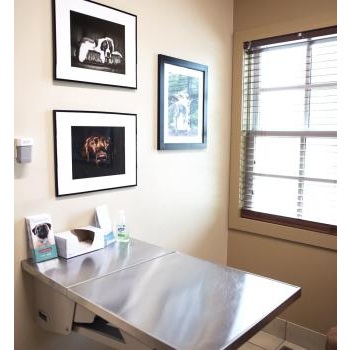 Image for Walker Canine Care with ID of: 6478151