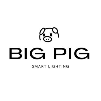 Image for Big Pig Smart Lighting with ID of: 6808651