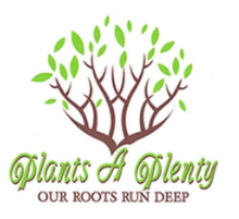Image for Plants A Plenty with ID of: 6808759