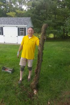 Image for Poison Ivy Free with ID of: 6478430