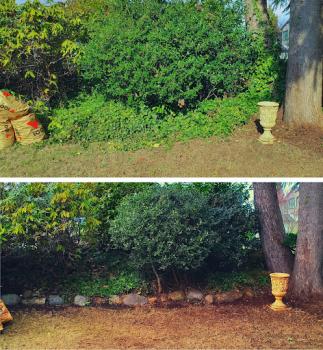 Image for Jeremie the Landscaper with ID of: 6478509