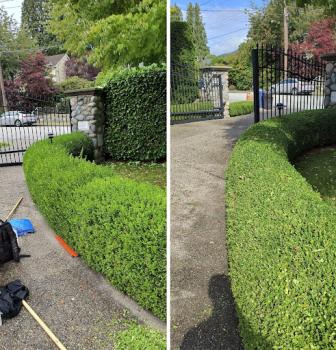 Image for Jeremie the Landscaper with ID of: 6478511