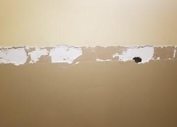 Image for Automated Drywall Service with ID of: 6478627