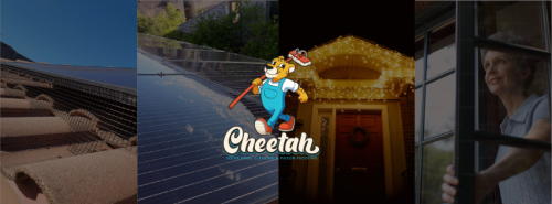 Image for Cheetah Solar Panel Cleaning and Pigeon Control with ID of: 6480376
