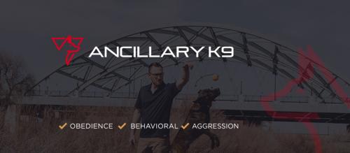 Image for Ancillary K9 Dog Training with ID of: 6481510