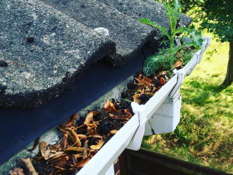Image for Sudell Gutter Services with ID of: 6481632