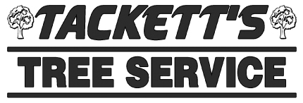 Image for Tackett's Tree Service with ID of: 5632451