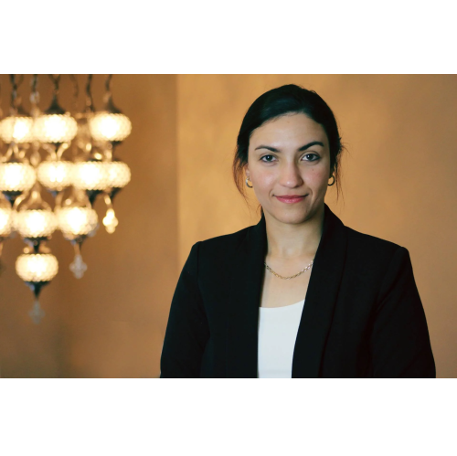 Image for Mariana Samaan Law Firm with ID of: 6485828