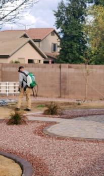 Image for Great Western Pest Control with ID of: 6486361