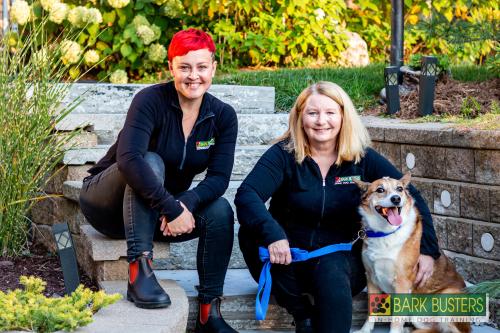 Image for Bark Busters Hamilton with ID of: 6486869