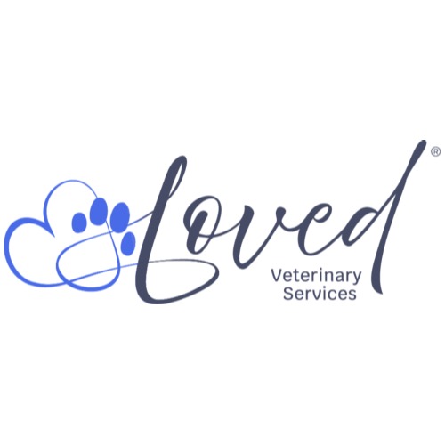 Image for Loved Veterinary Services with ID of: 6810960