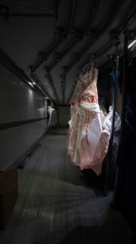 Image for ITS Transport with ID of: 6487643