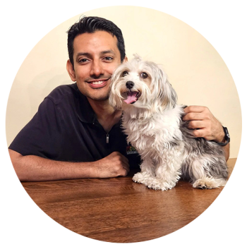 Image for Bark Busters In Home Dog Training - Vancouver Richmond with ID of: 6487665