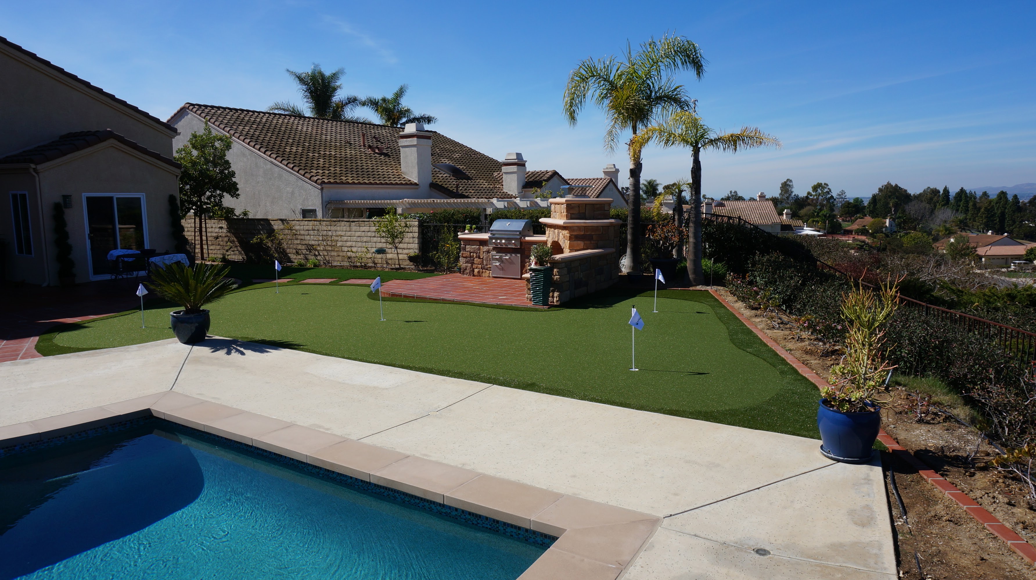 Image for Turf Now! with ID of: 6487905