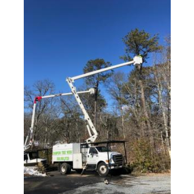 Image for Champion Tree Work with ID of: 6490077