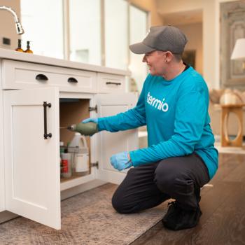 Image for Termio Pest Control with ID of: 6490170