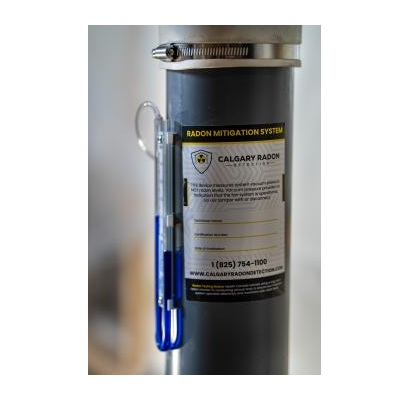 Image for Calgary Radon Detection with ID of: 6491102