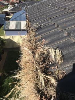 Image for Adelaide Outdoor Cleaning Solutions with ID of: 6491979