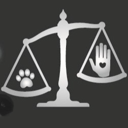 Image for PAW & ORDER ltd. Dog Training with ID of: 6816127