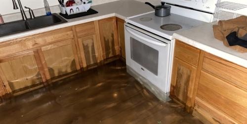 Image for Flow State Restoration Inc. with ID of: 6494913