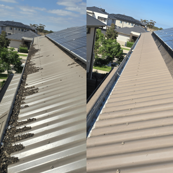 Image for Geelong Local Gutter Cleaning with ID of: 6496507