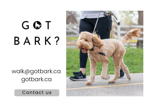 Image for Got Bark? - Vancouver with ID of: 6496621