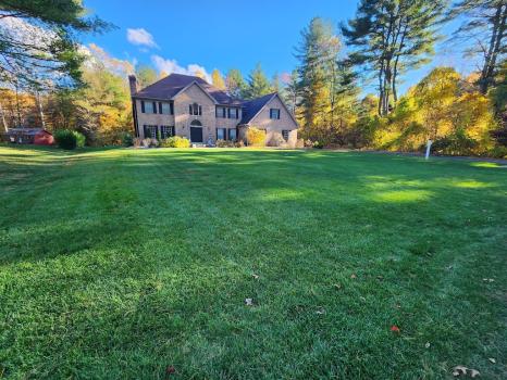 Image for Groundhogs Lawn Care with ID of: 6497102