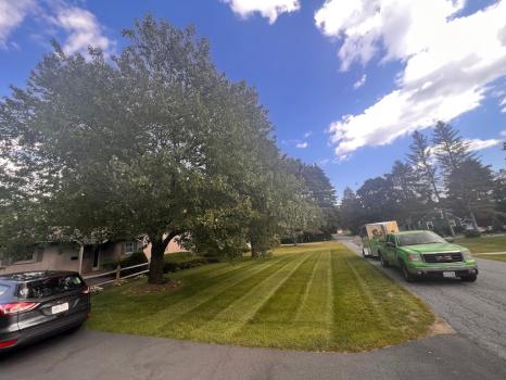Image for Groundhogs Lawn Care with ID of: 6497105