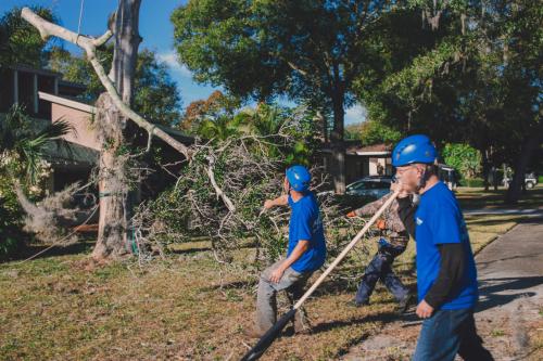 Image for Arbor Wise Tree Services with ID of: 6497224