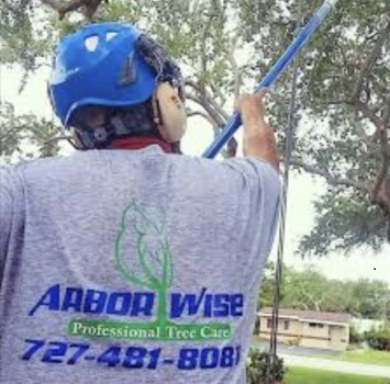 Image for Arbor Wise Tree Services with ID of: 6497225
