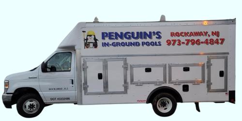 Image for Penguin's In-Ground Pools with ID of: 6498838