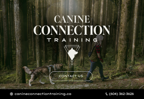 Image for Canine Connection Training - Vancouver Area Branch with ID of: 6499619