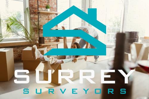 Image for Surrey Surveyors Ltd with ID of: 6501920