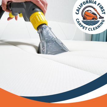 Image for California First Carpet Cleaning with ID of: 6502159