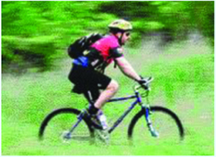 Image for Dennis Cycle Center with ID of: 1225541