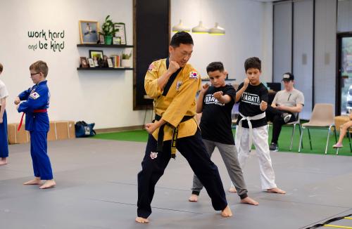 Image for Karate Beyond by Master Choe with ID of: 6503042