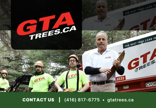 Image for GTA Trees with ID of: 6503696