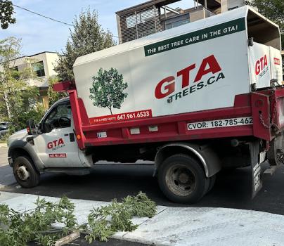 Image for GTA Trees with ID of: 6503704