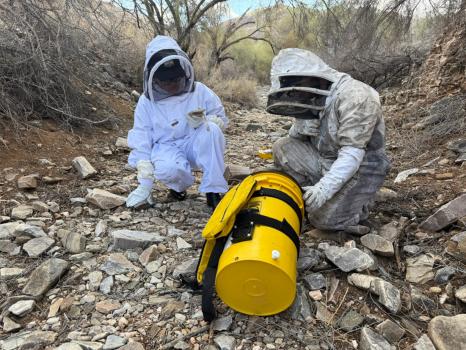 Image for Busy Bee Pest Solutions with ID of: 6504519