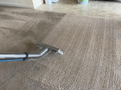 Image for Carpet Medic LLC with ID of: 6506561