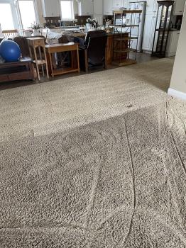 Image for Carpet Medic LLC with ID of: 6506562