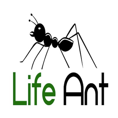 Image for Life Ant with ID of: 682379
