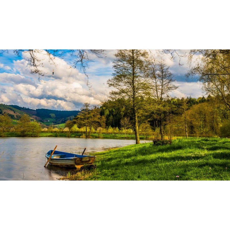 Image for Fast Land Offers with ID of: 6508709