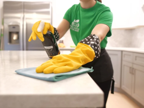 Image for ECO CLEANING SERVICE with ID of: 6512982