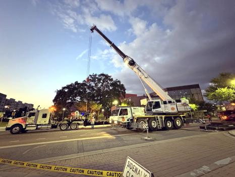 Image for Sims Crane & Company with ID of: 6514393