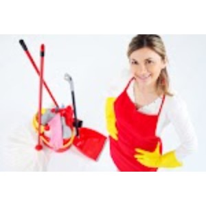 Image for Spotless Cleaning with ID of: 6515156