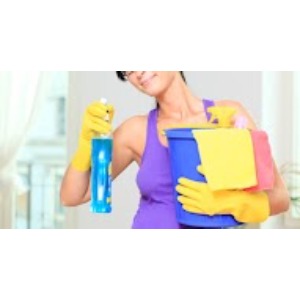 Image for Spotless Cleaning with ID of: 6515157