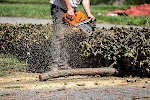 Image for Complete Tree Care Inc. with ID of: 6515182