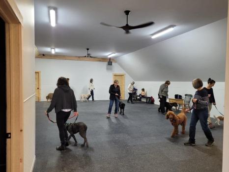 Image for Super Puppy Éducation with ID of: 6515468